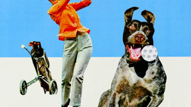 Eine Collage zeigt eine Frau beim Golfspielen und einen Hund, der dem Ball nachjagt.